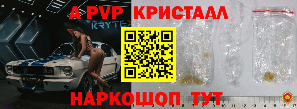 APVP СК КРИС Выборг